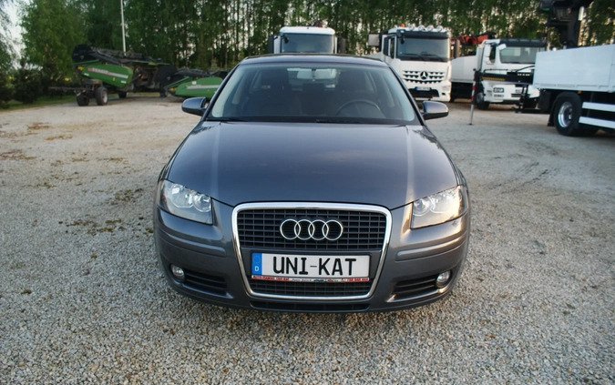 Audi A3 cena 23800 przebieg: 180000, rok produkcji 2006 z Rypin małe 232